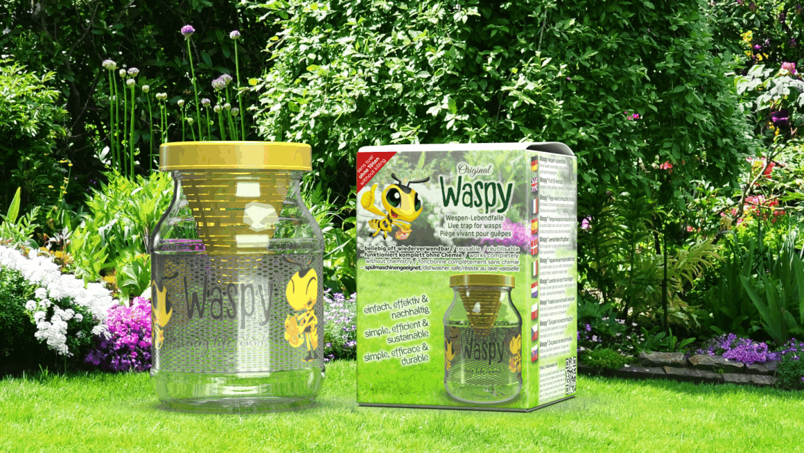 Waspy Wespen Lebendfalle